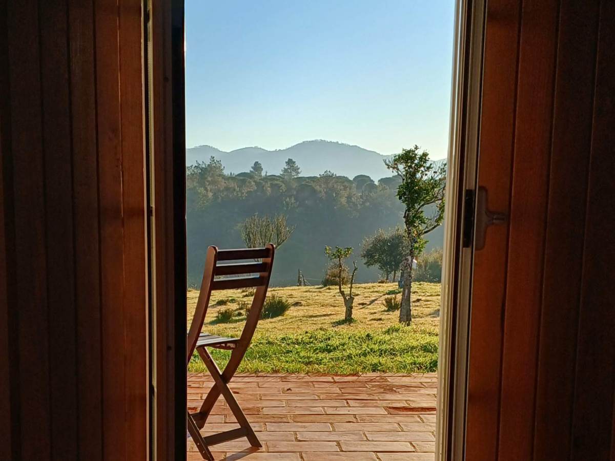 E se uma andorinha fizer a&nbsp;primavera?